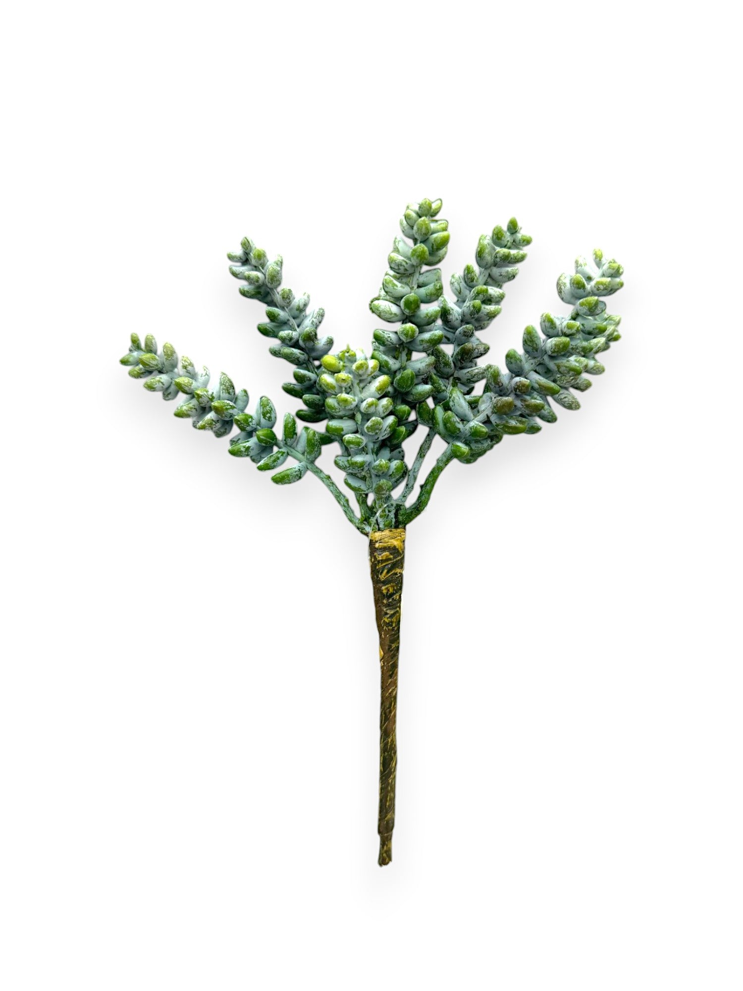 SUCCULENT PICK 8.5"