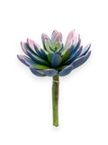 SUCCULENT PICK 8.5"