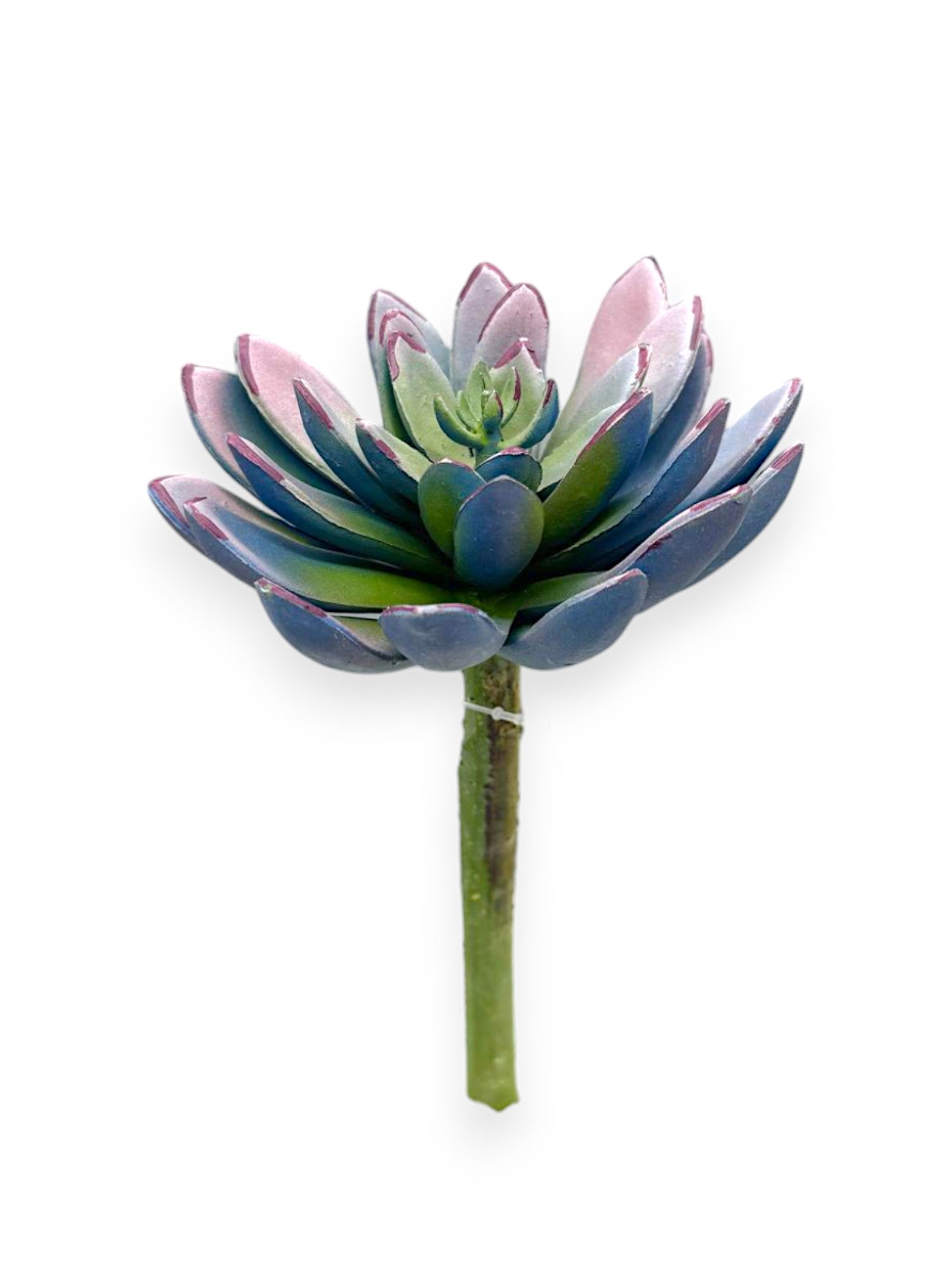 SUCCULENT PICK 8.5"
