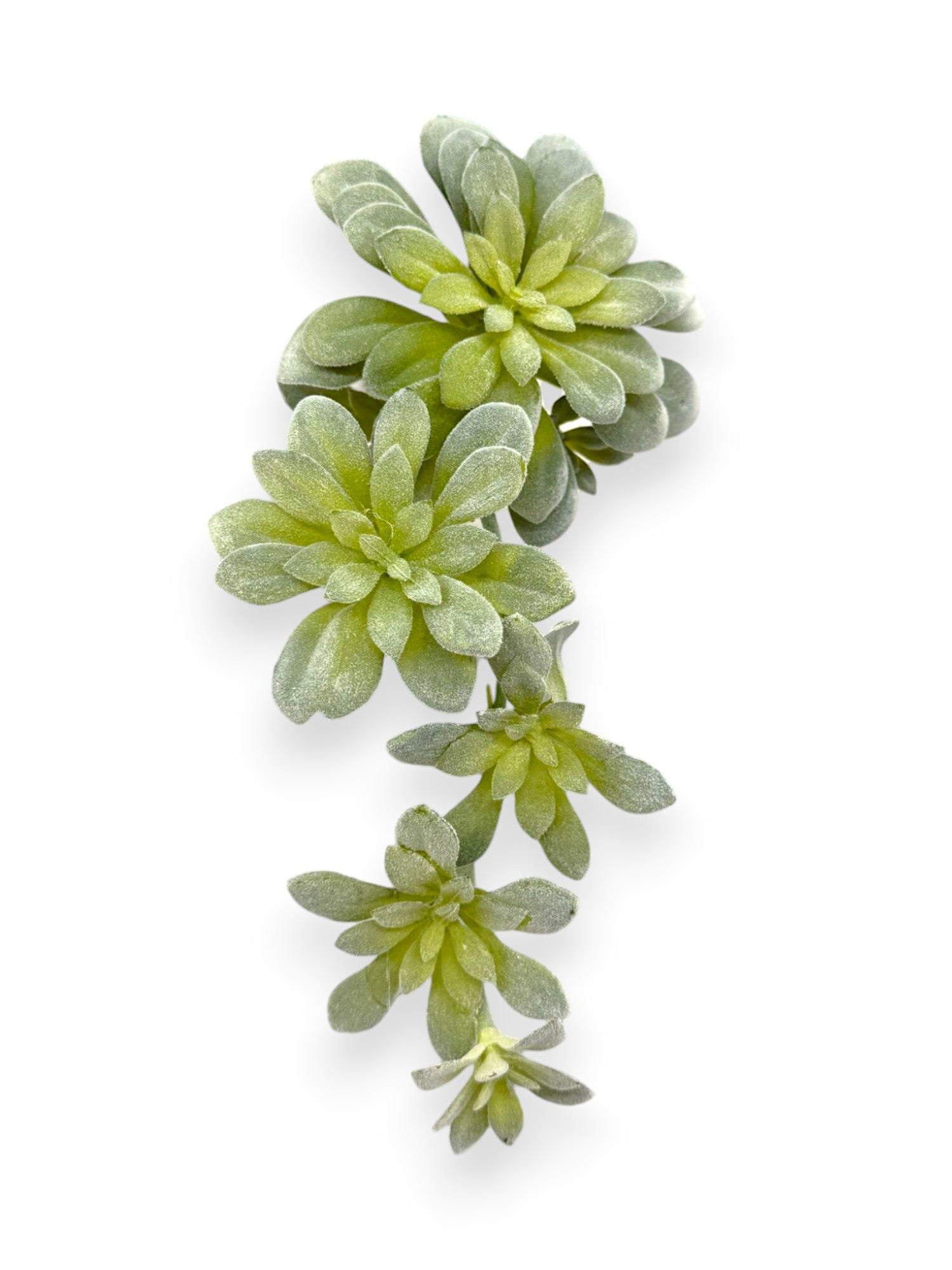 SUCCULENT PICK 12"