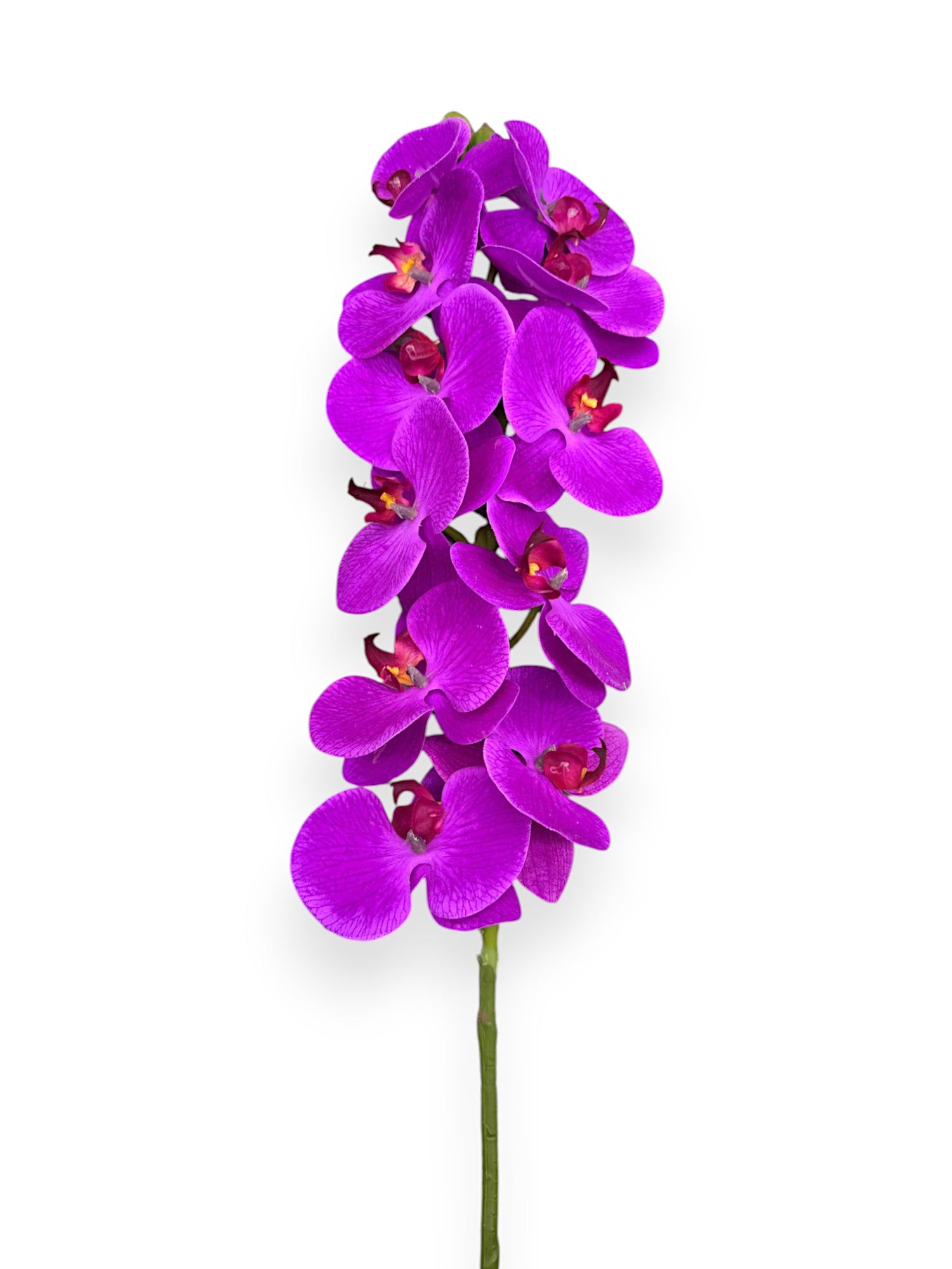 PHALEANOPSIS STEM REAL TOUCH 37"