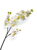ORCHID PHAL. SPRAY X3 37"