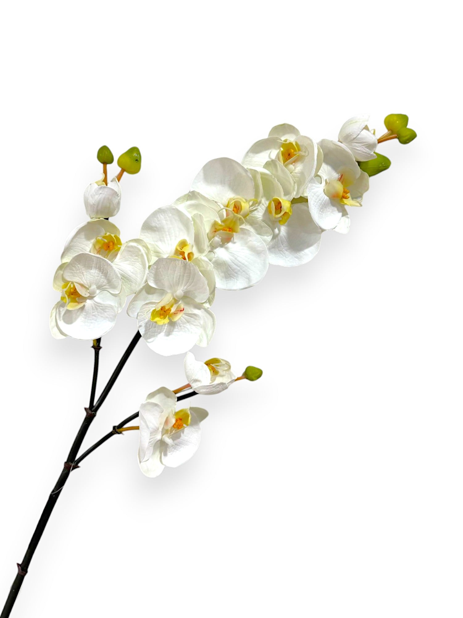 ORCHID PHAL. SPRAY X3 37"