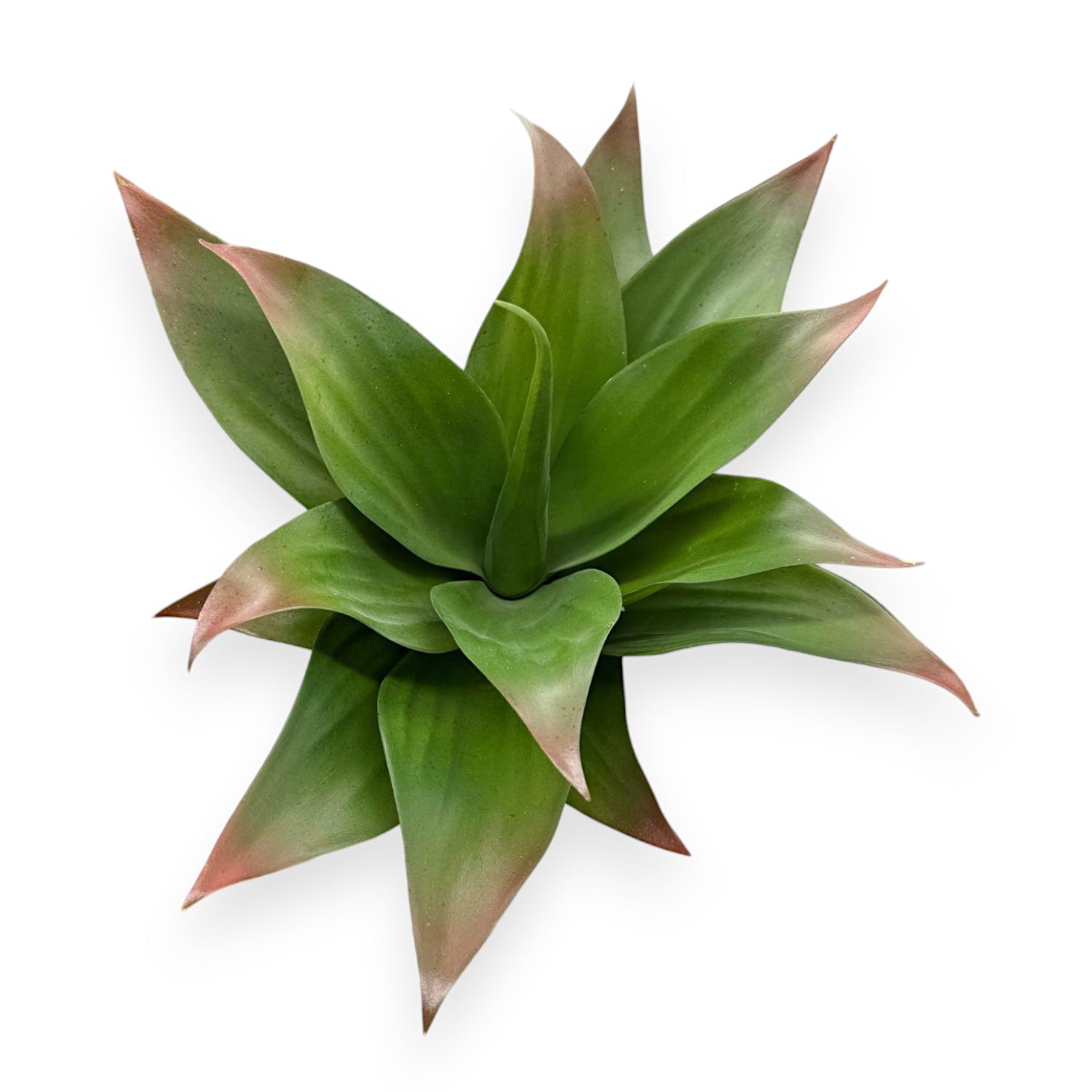 faux agave succulent SUCCULENT AGAVE 13" – Chan's Silk Flowers, inc