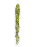 SPANISH MOSS 36"