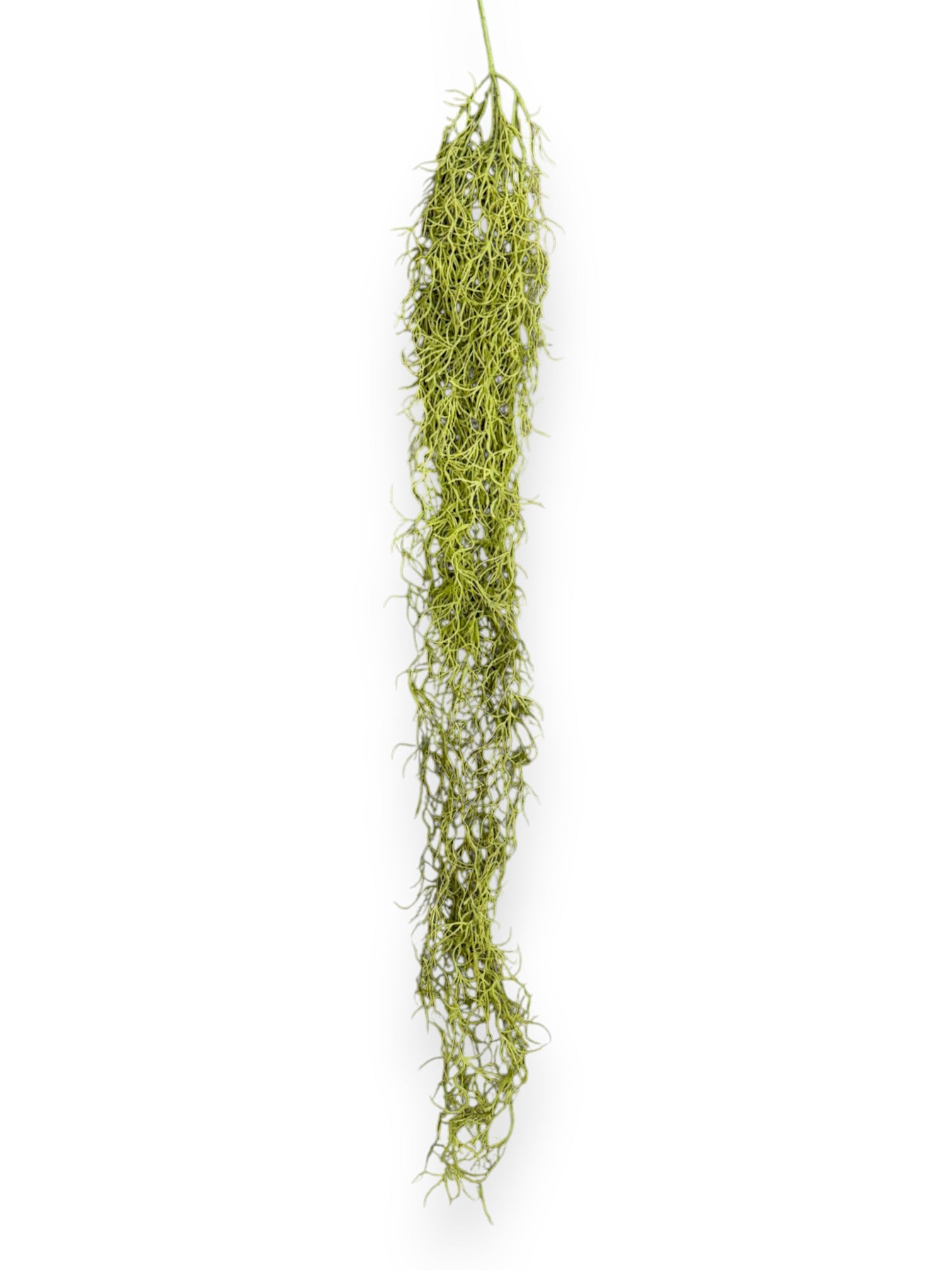 SPANISH MOSS 36"