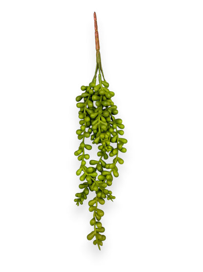 SUCCULENT SEDUM 12"