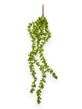 SUCCULENT SEDUM 27.5"