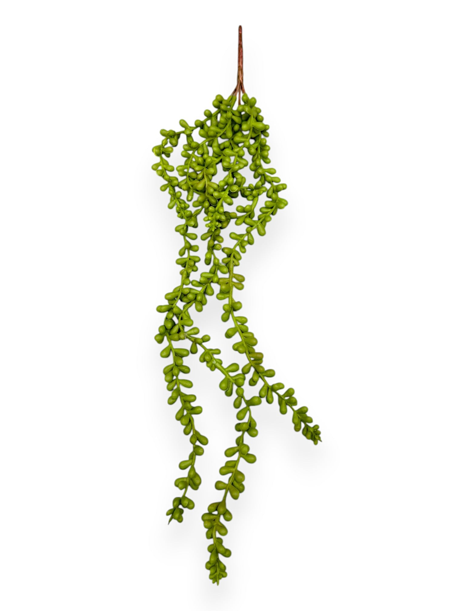 SUCCULENT SEDUM 27.5"
