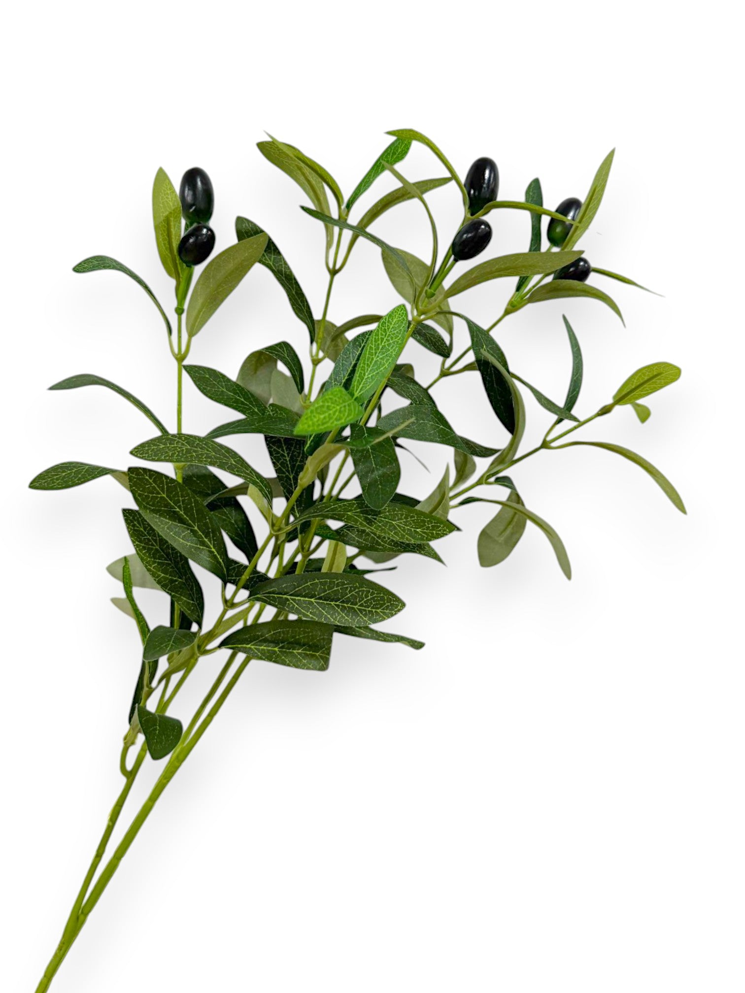 OLIVE BRANCH 18"