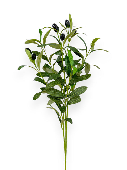 OLIVE BRANCH 18"