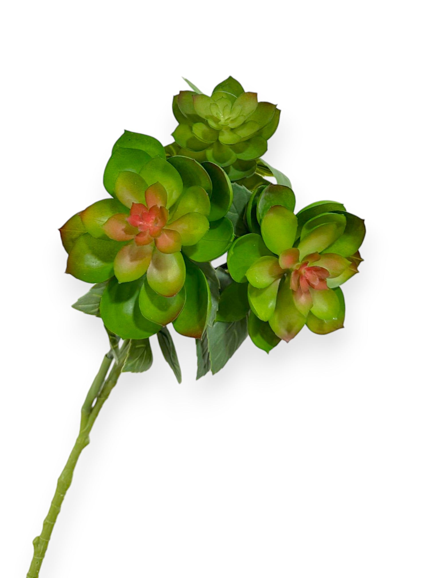 SUCCULENT SPRAY X3 17"