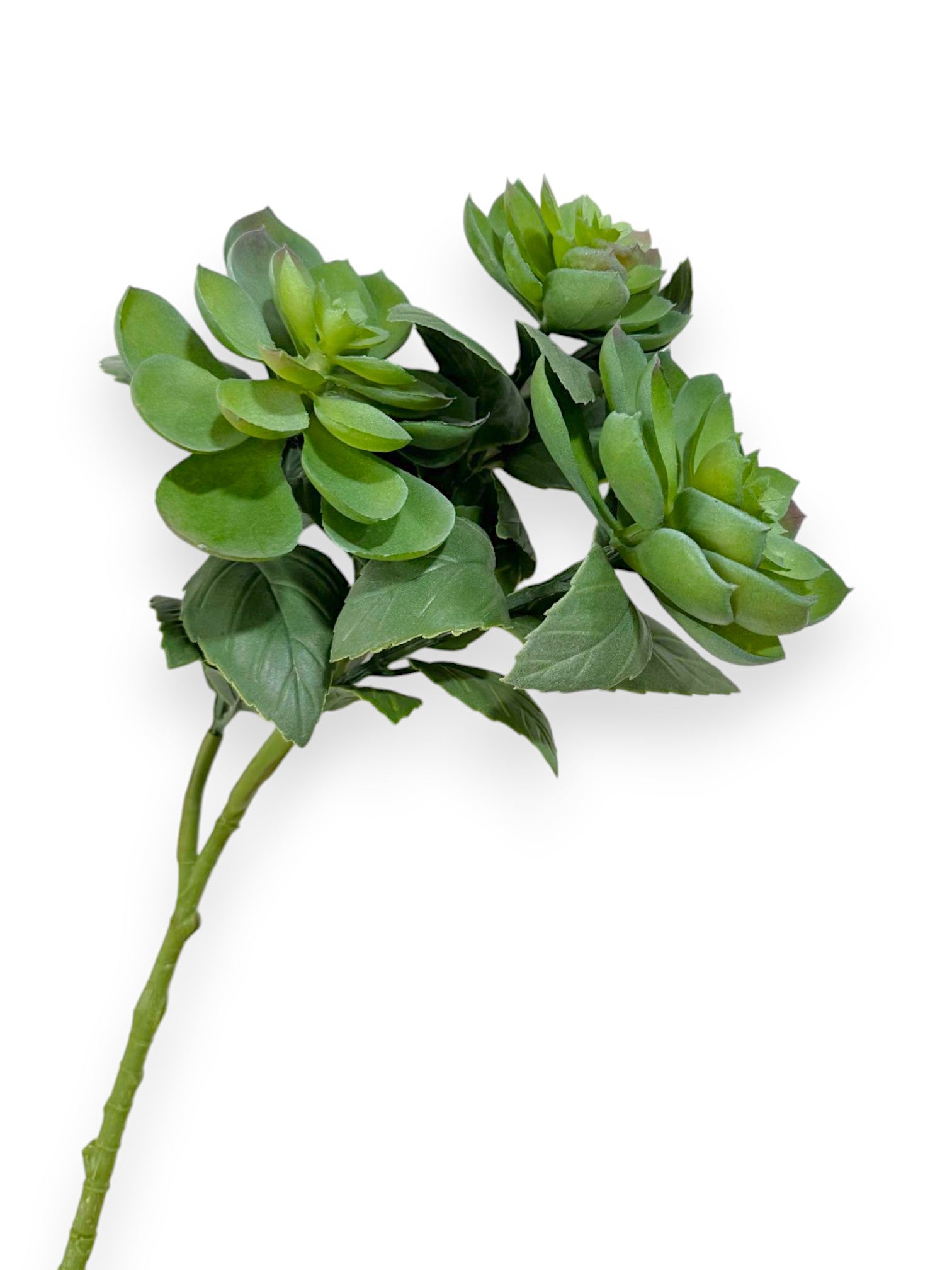 succulent spritzer SUCCULENT SPRAY X3 17" – Chan's Silk Flowers, inc