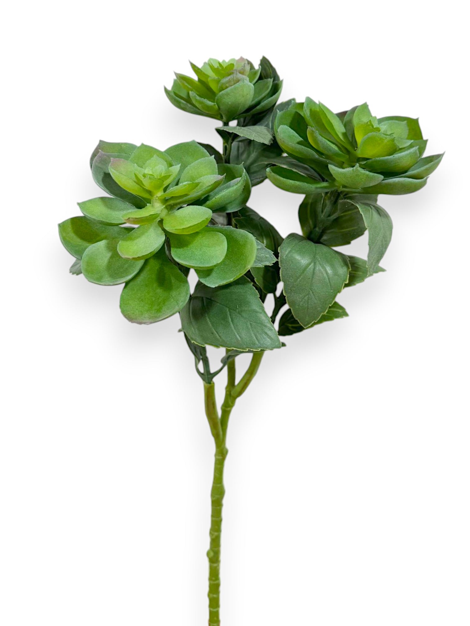 SUCCULENT SPRAY X3 17"