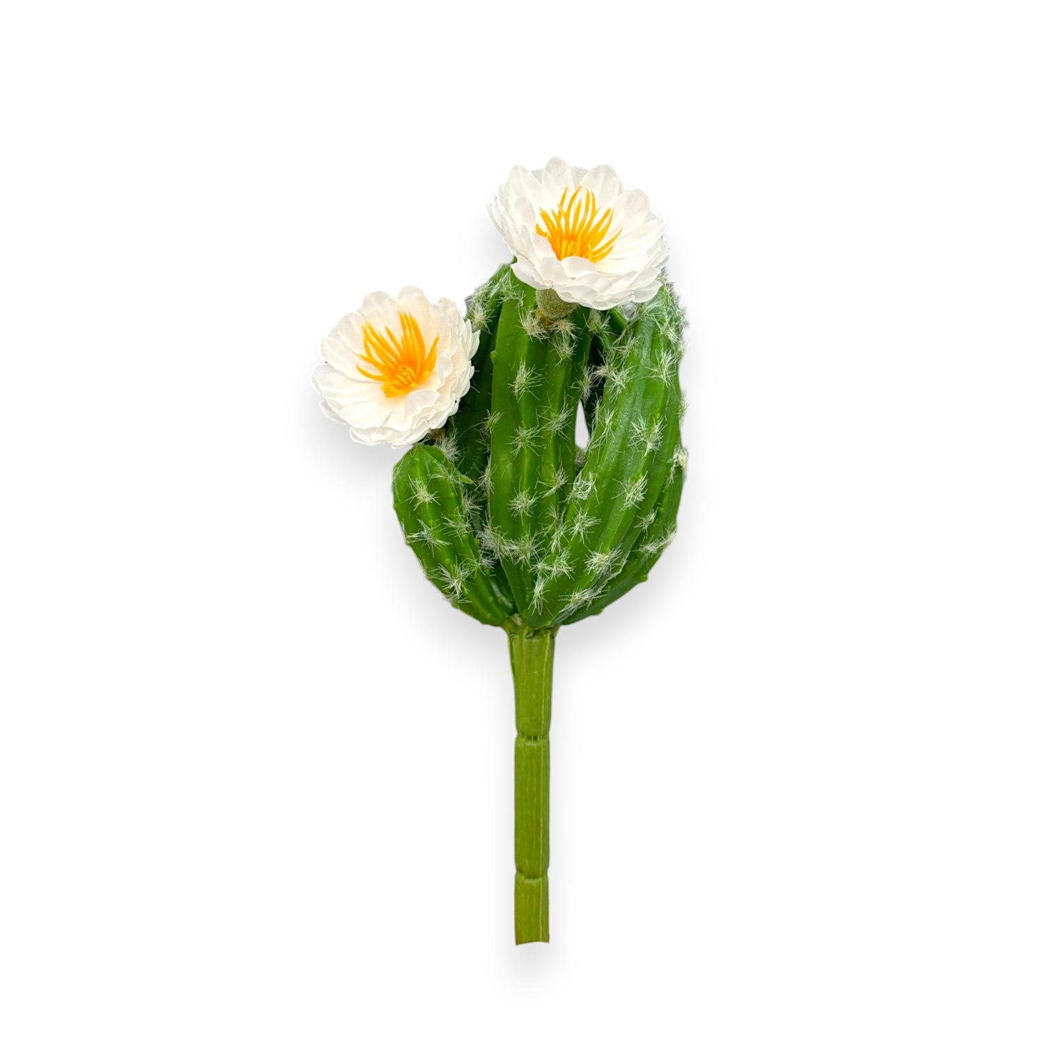 CACTUS W/FLOWERS 8"