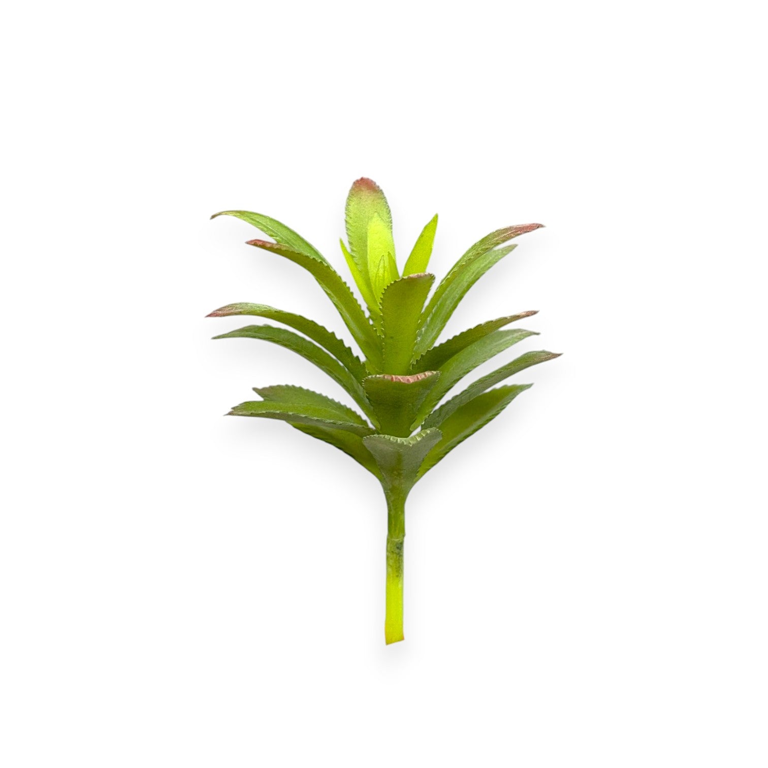 SUCCULENT PICK 3.5"
