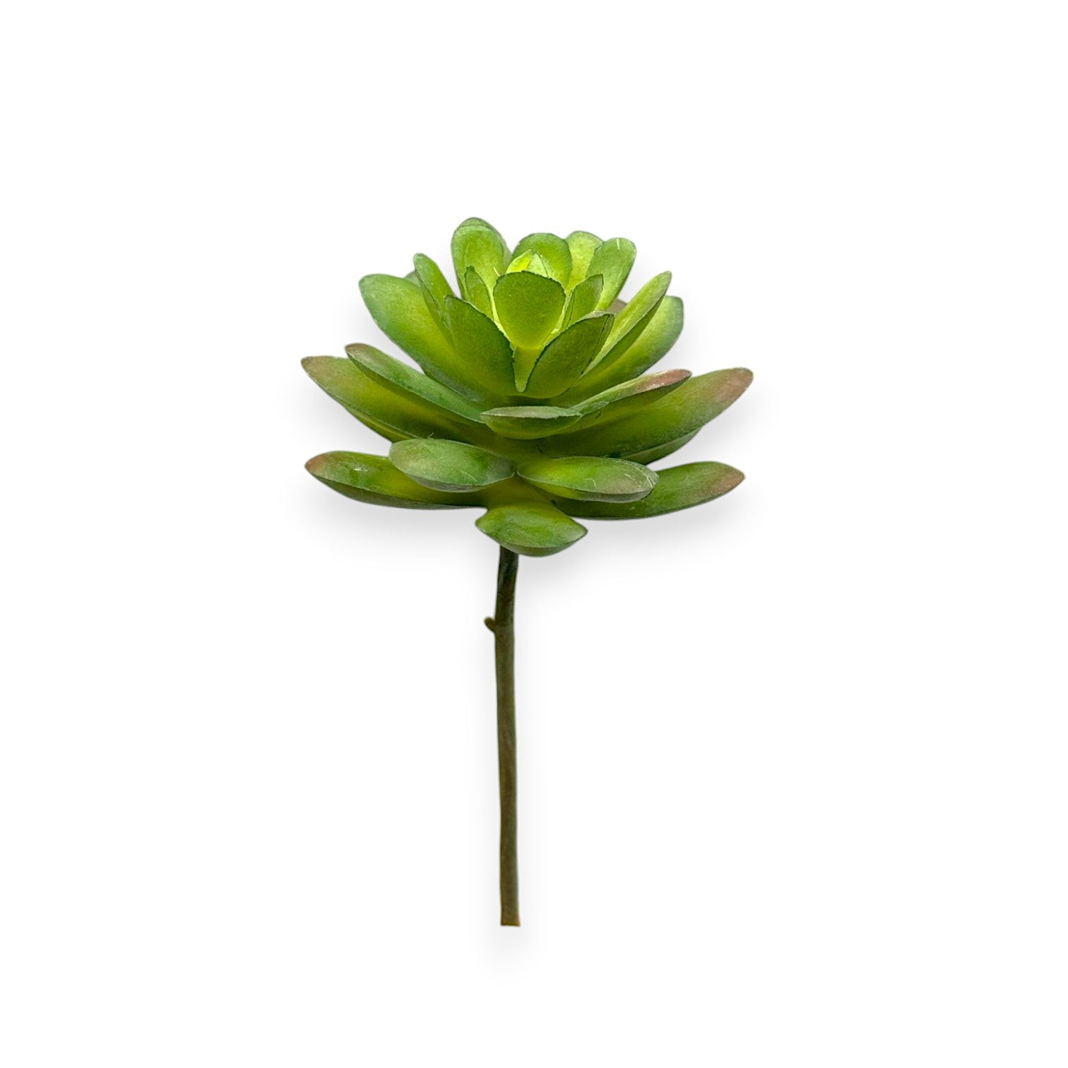 SUCCULENT PICK 2.5"