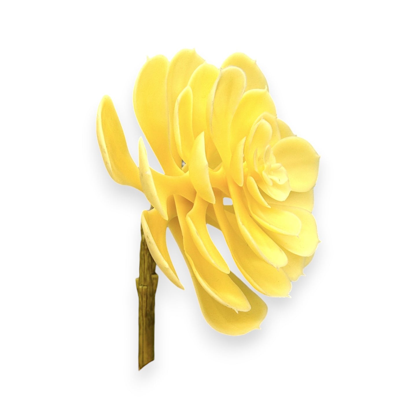 SUCCULENT YELLOW 5.5"