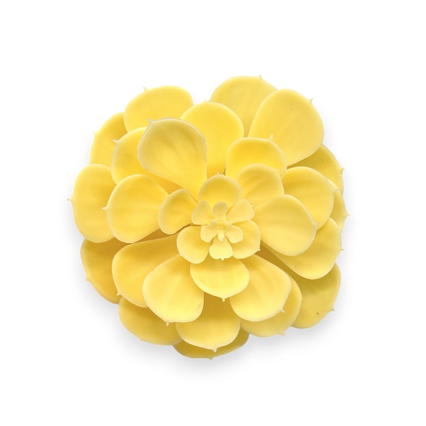SUCCULENT YELLOW 5.5"