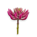 SUCCULENT PURPLE 4"