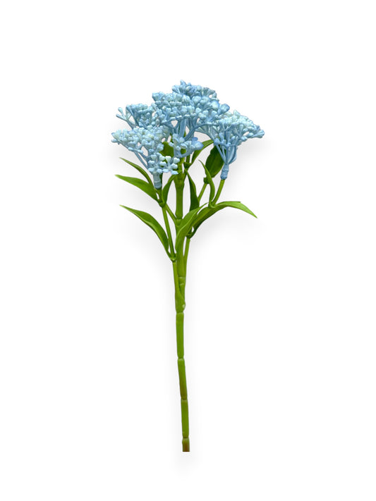 SUCCULENT SEDUM 10"
