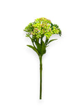 SUCCULENT SEDUM 10"