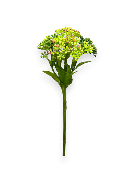 SUCCULENT SEDUM 10"