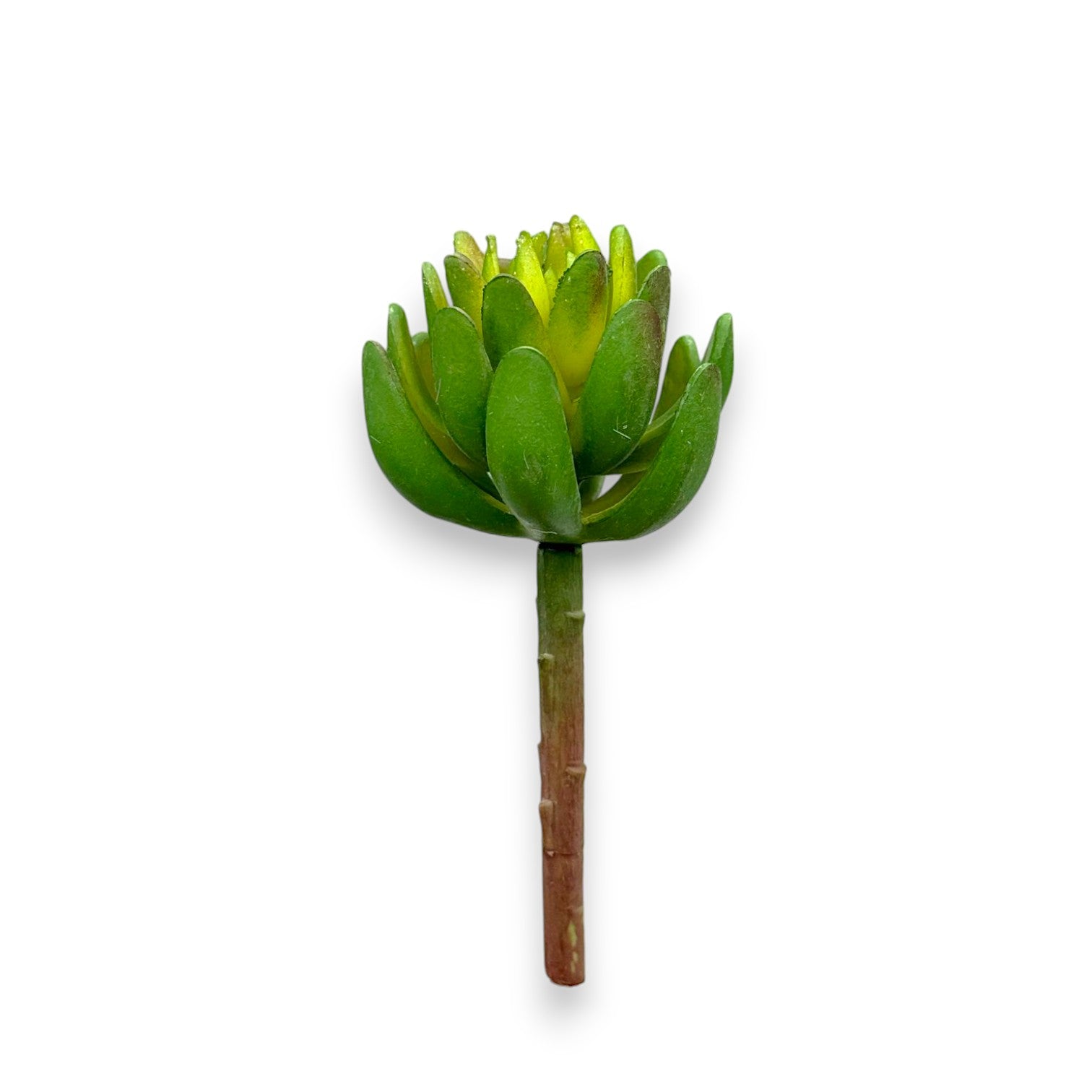 SUCCULENT PICK 2.5"