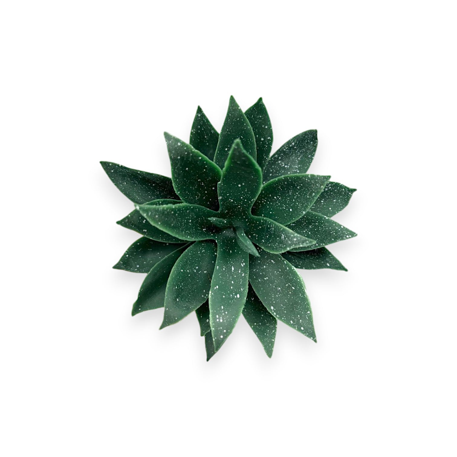 SUCCULENT AGAVE 4.5"