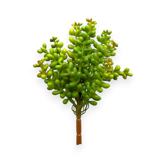 SUCCULENT SEDUM 8"