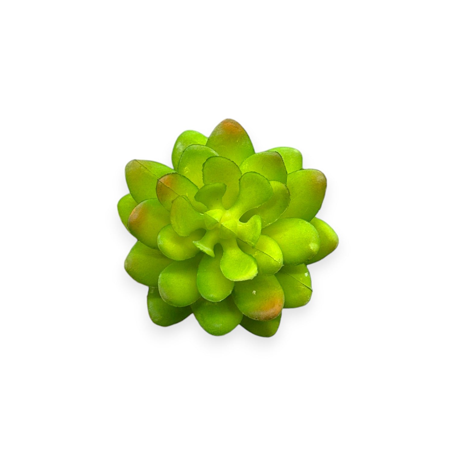 SUCCULENT PICK 2.5"