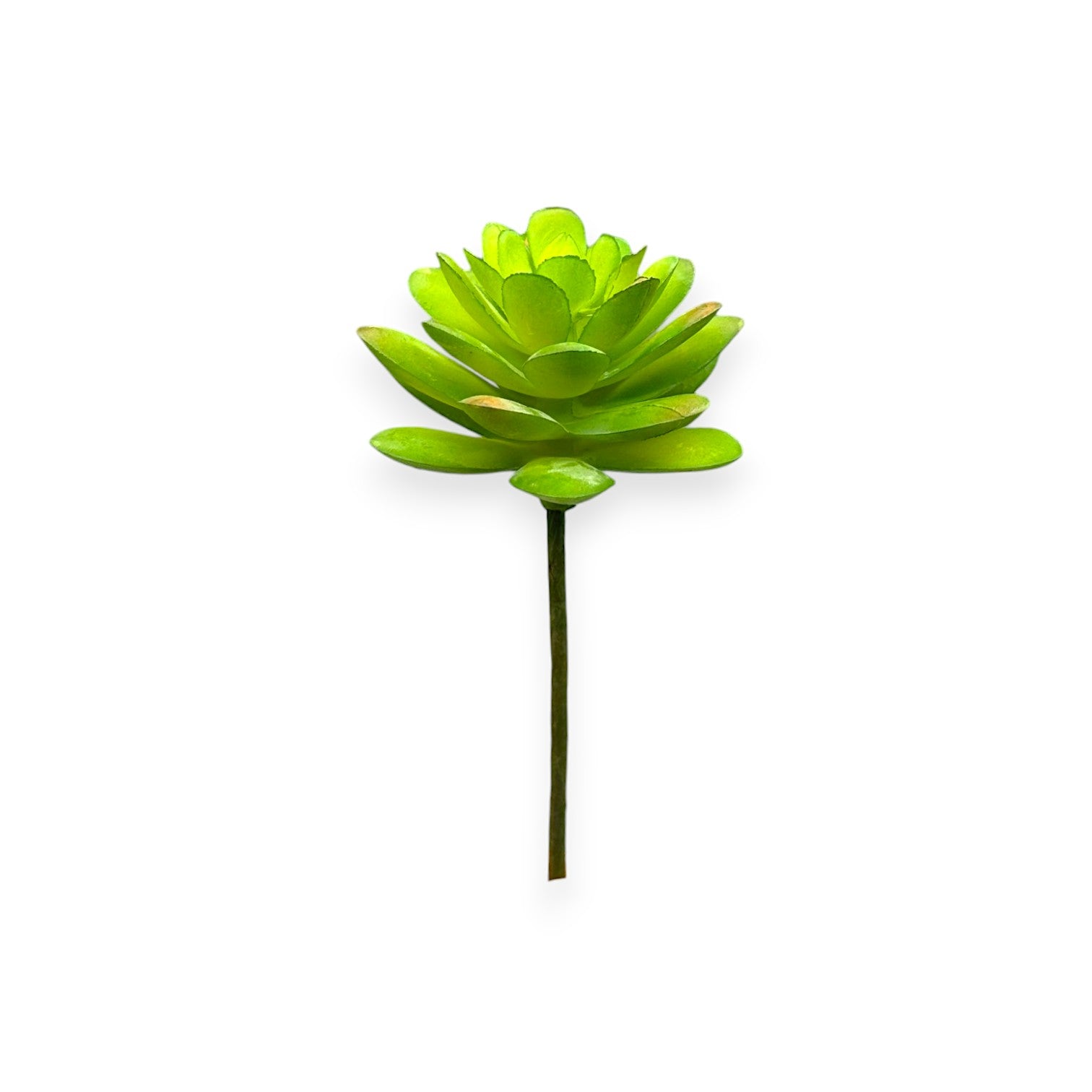 SUCCULENT PICK 2.5"