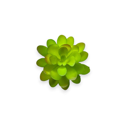 SUCCULENT PICK 2.5"