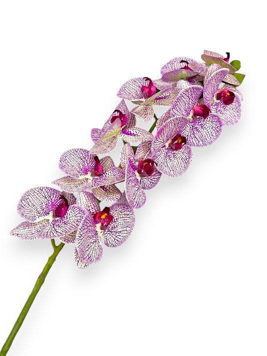 PHALEANOPSIS STEM REAL TOUCH 37"