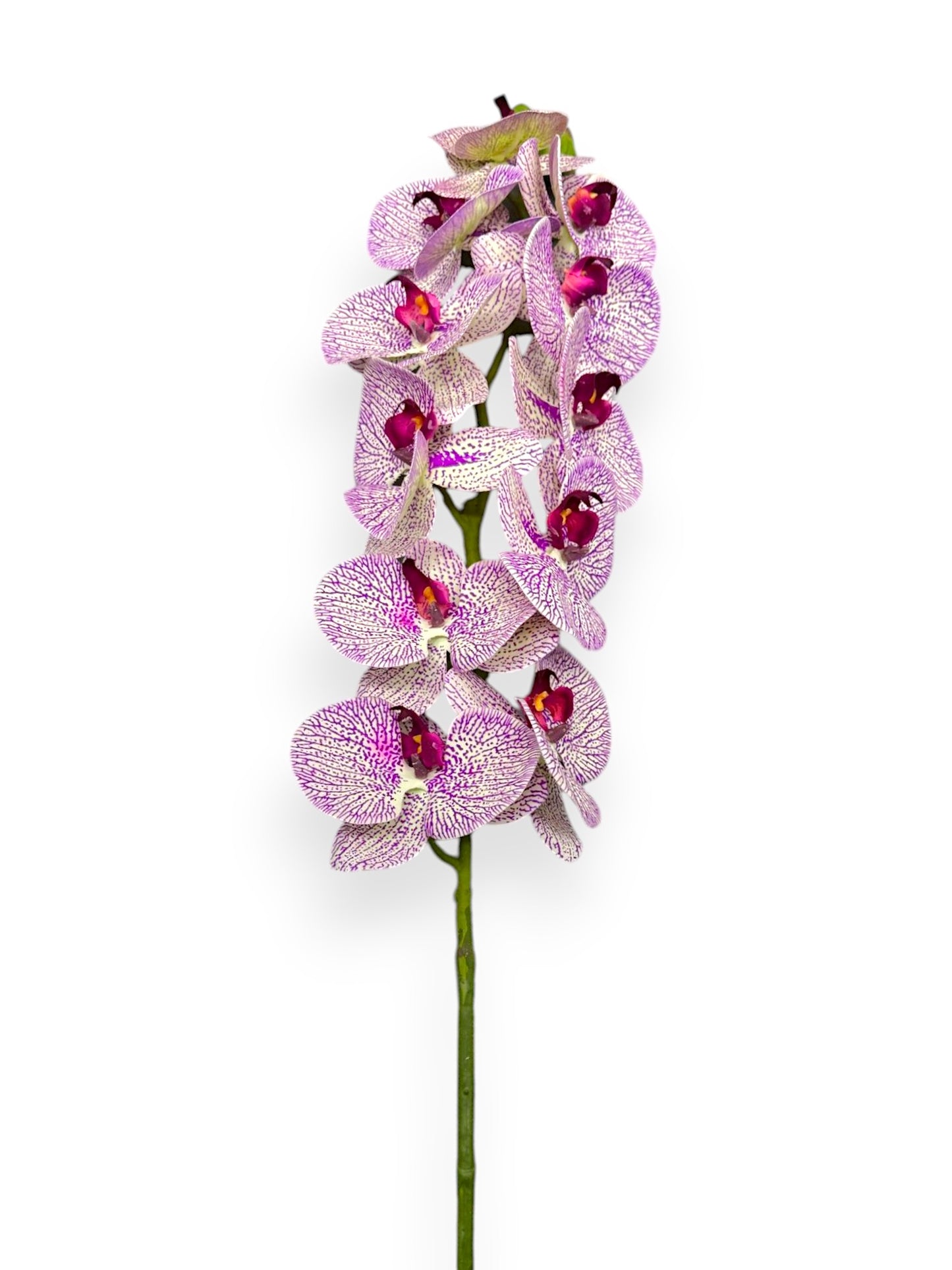 PHALEANOPSIS STEM REAL TOUCH 37"