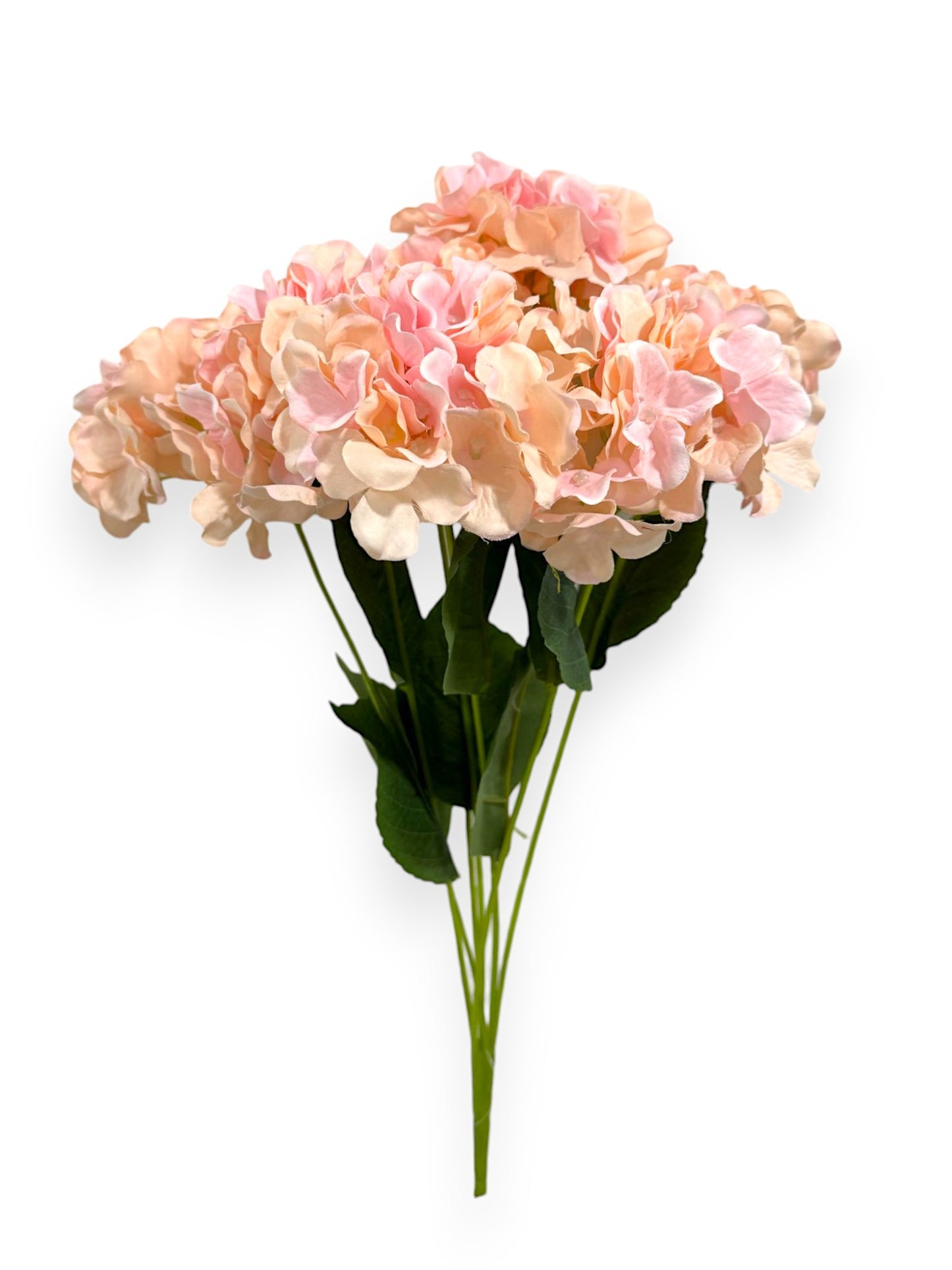HYDRANGEA BUSH X7