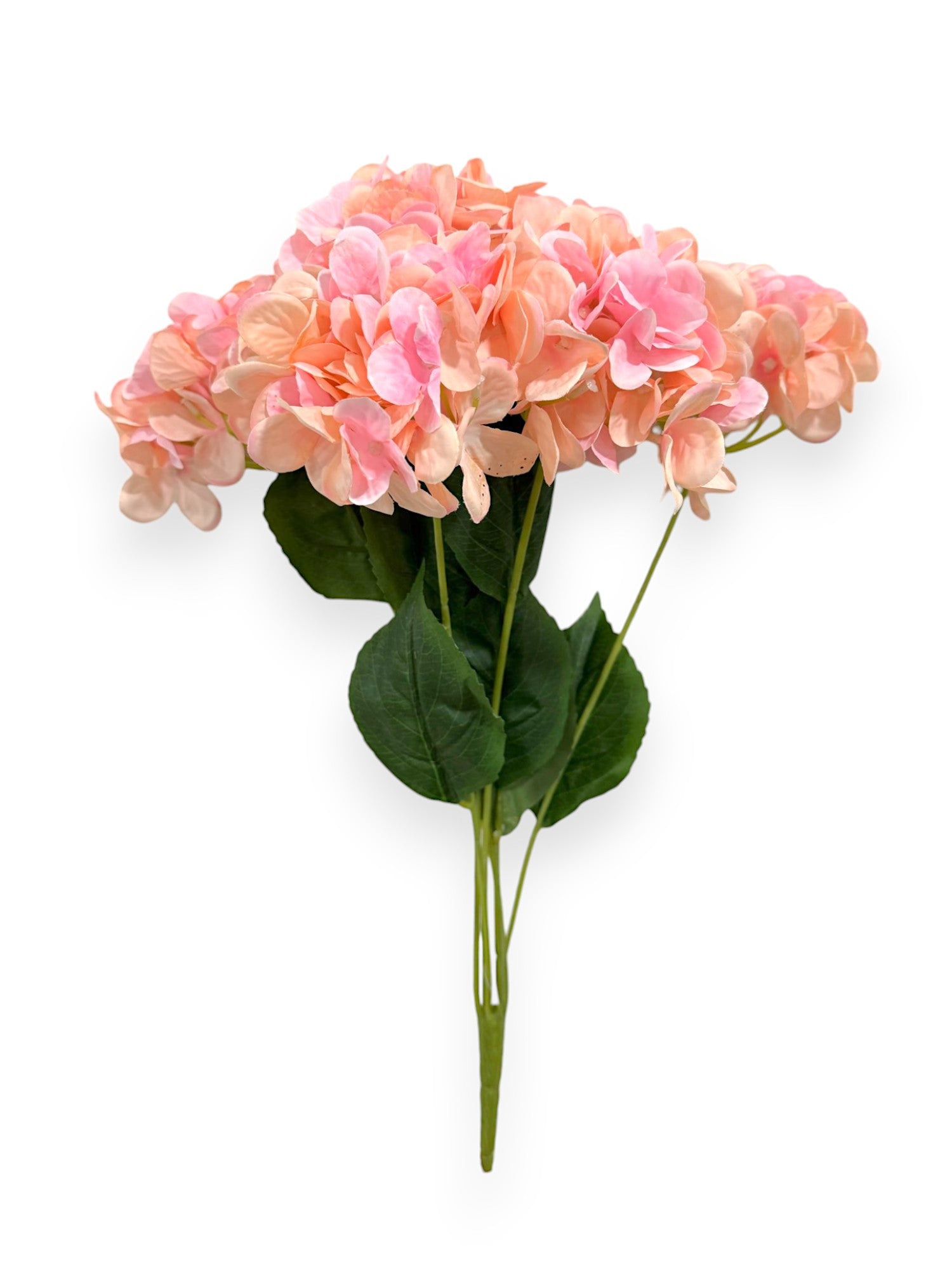 HYDRANGEA BUSH X7