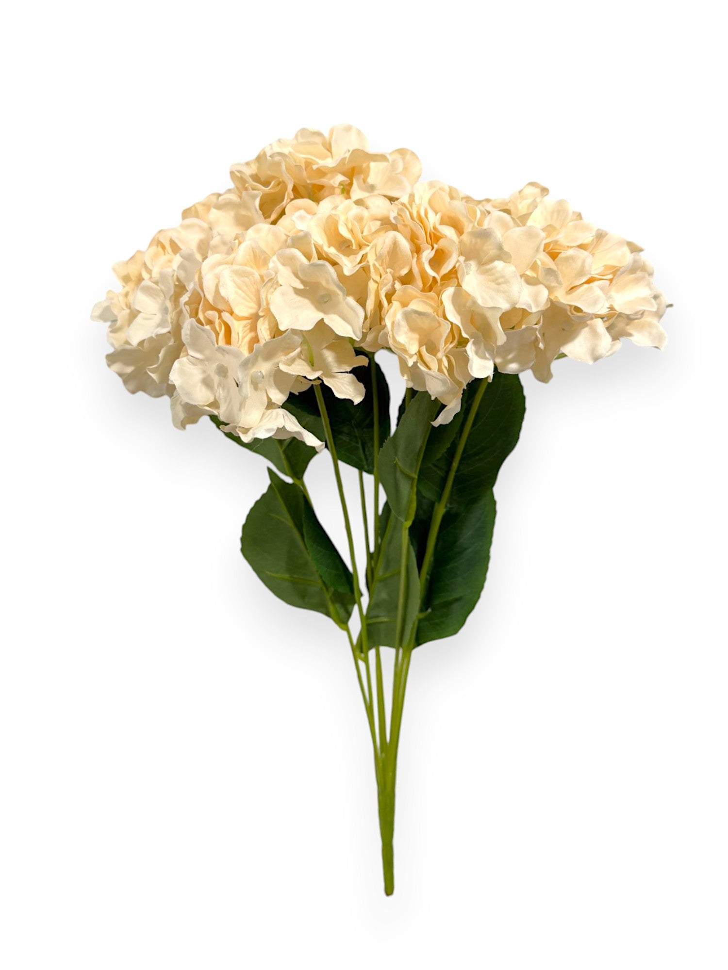 HYDRANGEA BUSH X7