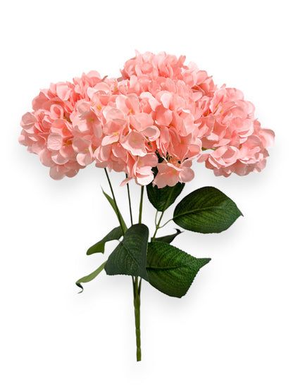 HYDRANGEA BUSH X5