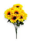 SUNFLOWER BUSH X12