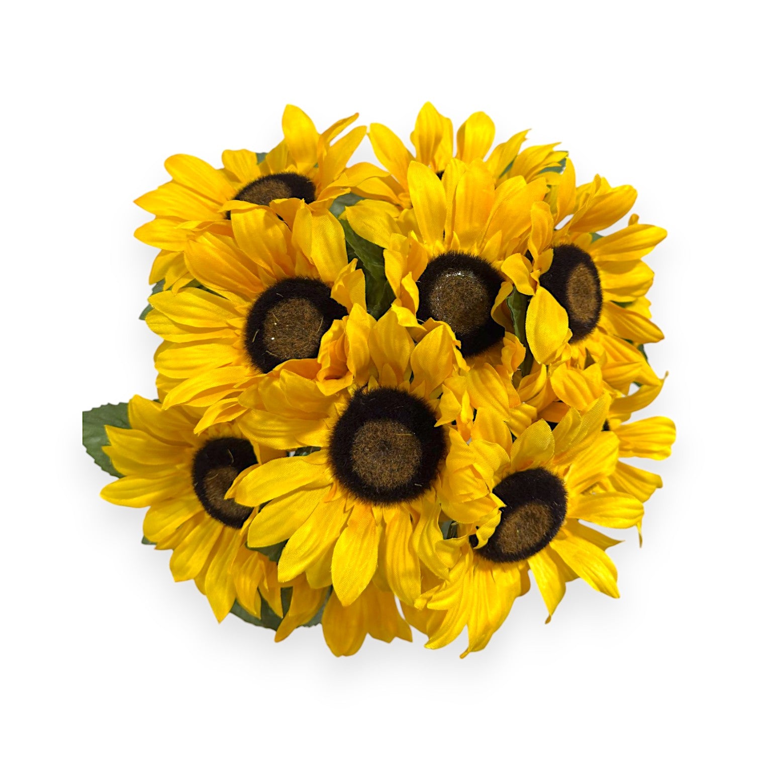 SUNFLOWER BUSH X12