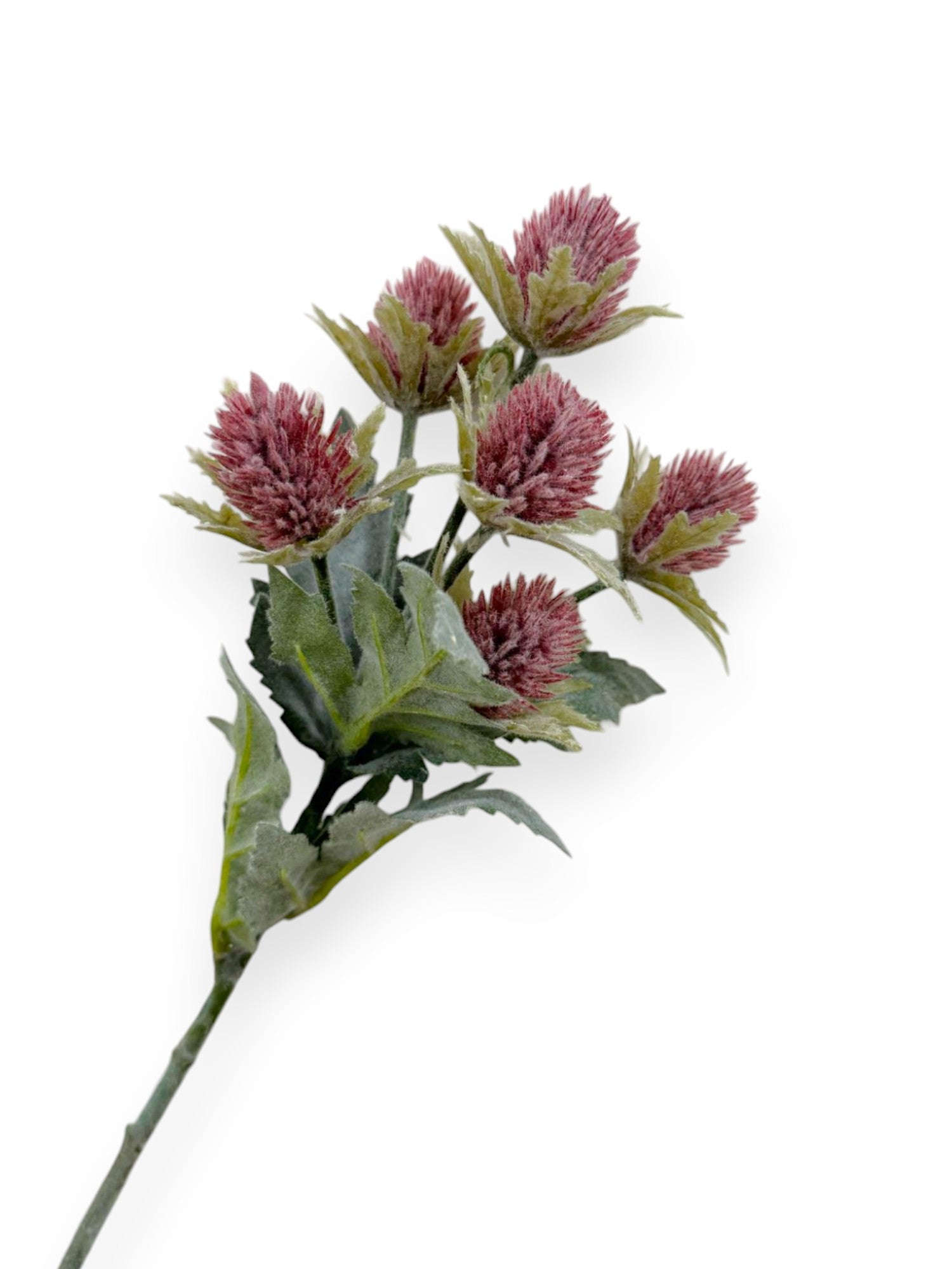 THISTLE STEM X6 17"