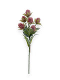 THISTLE STEM X6 17"