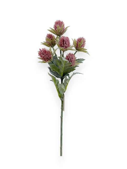 THISTLE STEM X6 17"