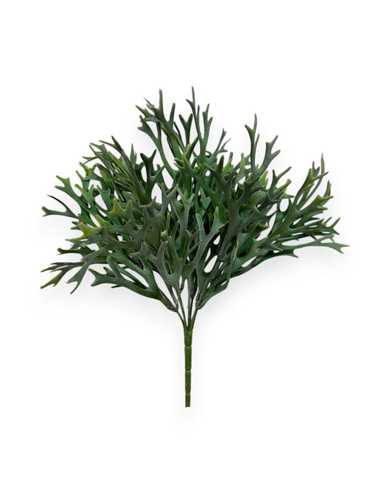 STAG HORN BUSH 37CM