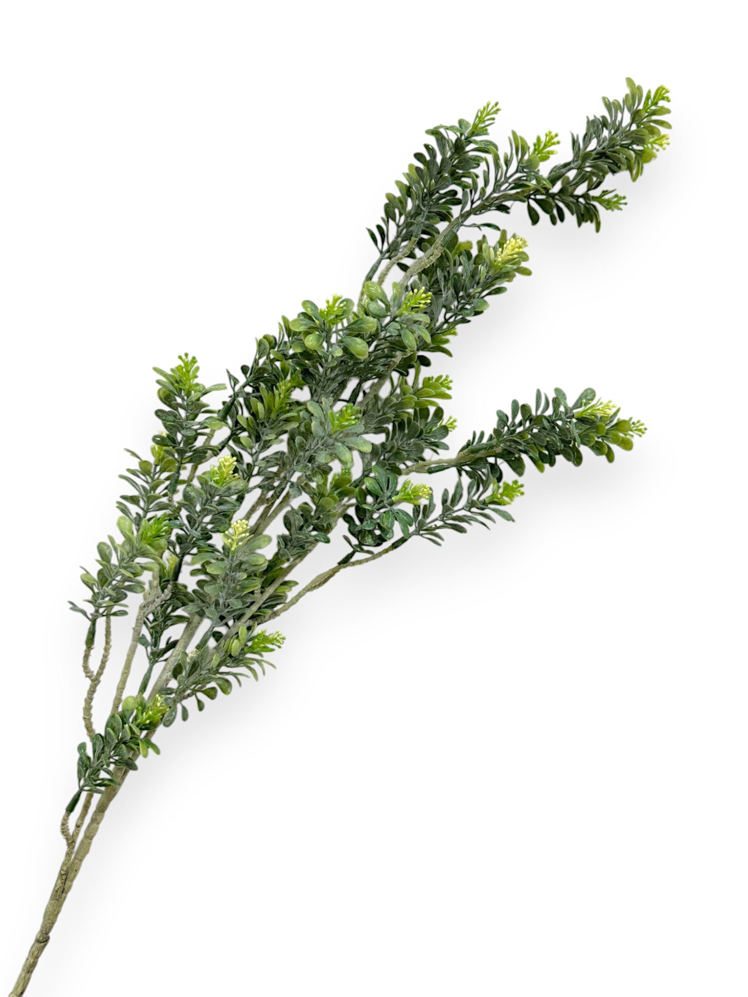 PODOCARPUS SPRAY 99CM