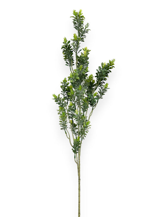 PODOCARPUS SPRAY 99CM
