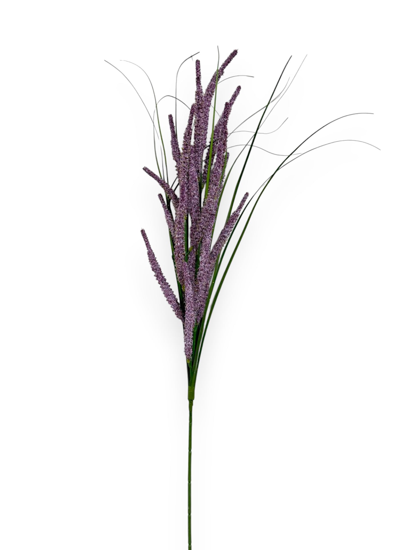 ASTILBE SPRAYX2 30"