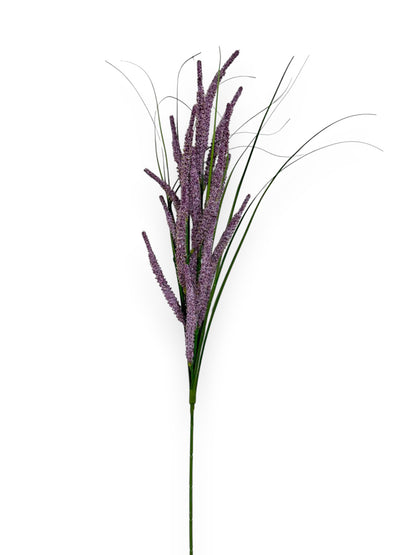 ASTILBE SPRAYX2 30"