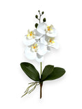 PHALAENOPSIS SPRAY 17"